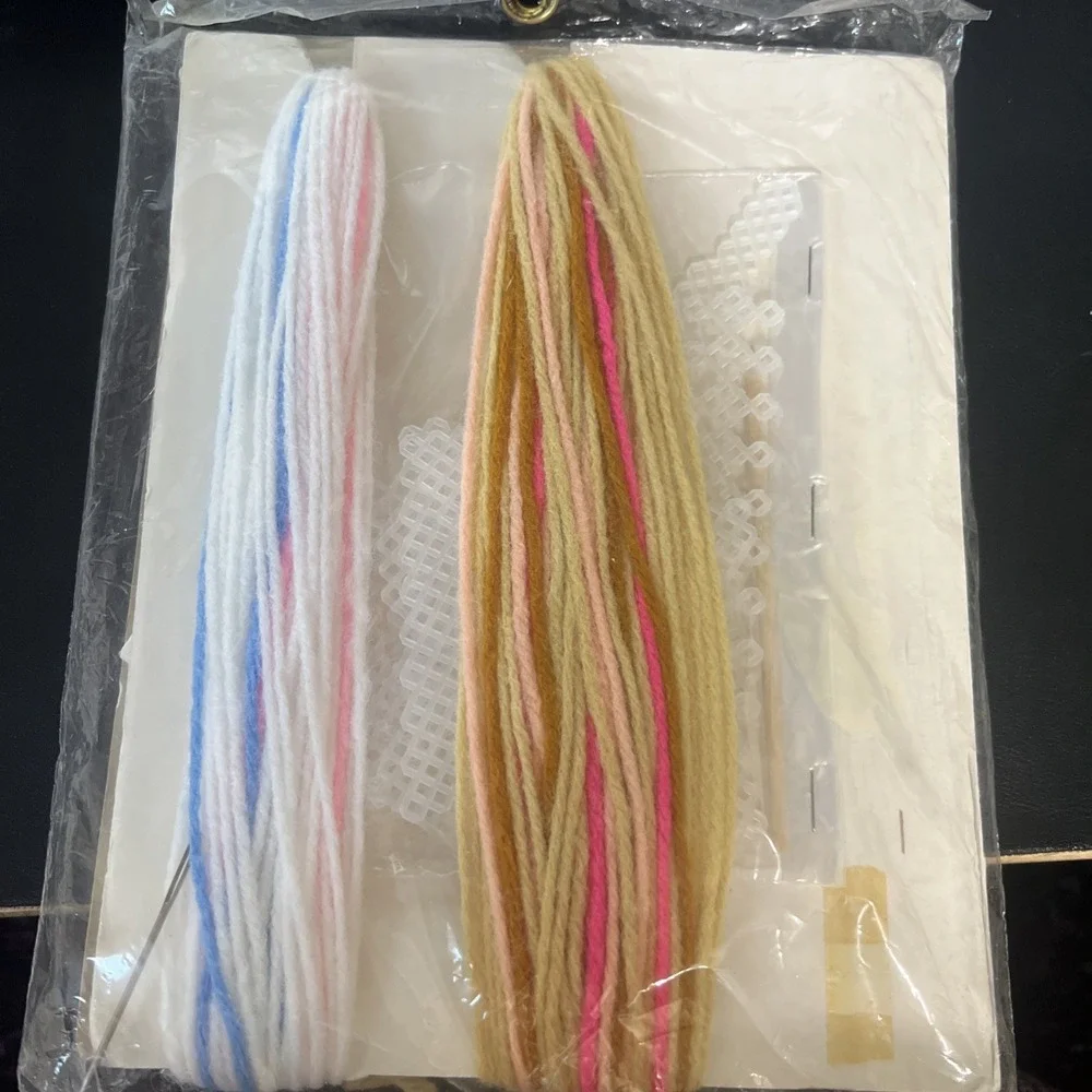 1980 Vintage‎ Leisure Arts Canvas Capers Princess Dick Martin Plastic Yarn Kit